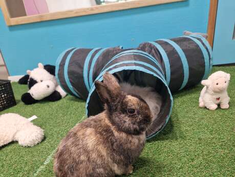 Atelier bébé fermier