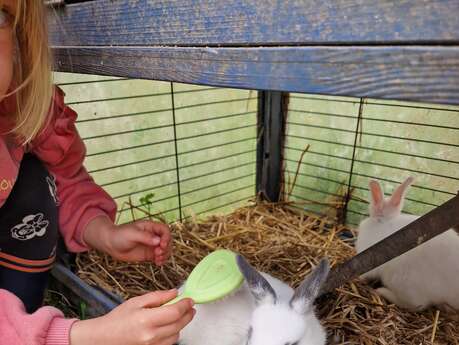 Atelier apprentis soigneurs