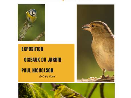 Exposition interactive « Oiseaux de nos jardins »
