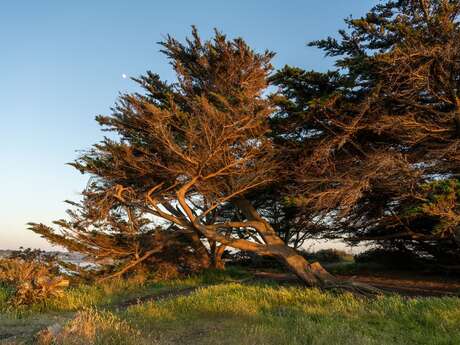Les dunes de Port Hue et du Perron