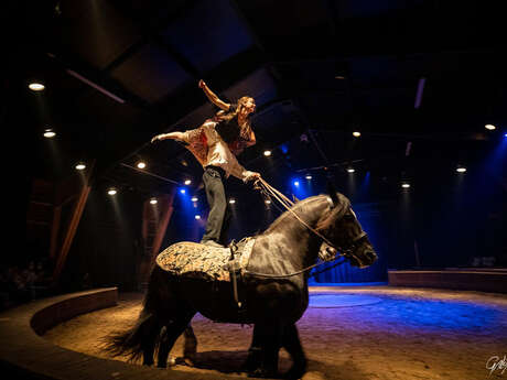 Spectacle Don Quichotte, folie équestre
