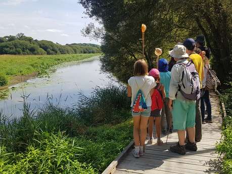 Sortie nature : Conteur d'eau