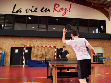 Stage de Tennis de Table