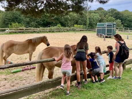 Un après-midi à la ferme : Les chevaux de Brocéliande