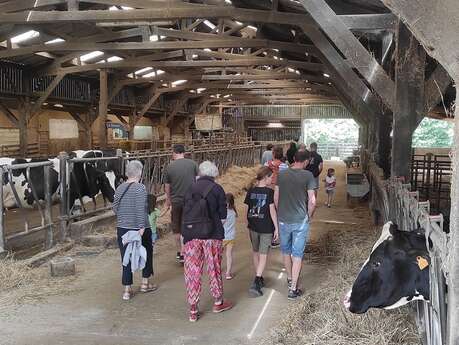 Un après-midi à la ferme : Ferme de Quéhéon