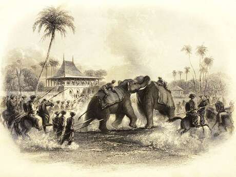 Musée de la Compagnie des Indes