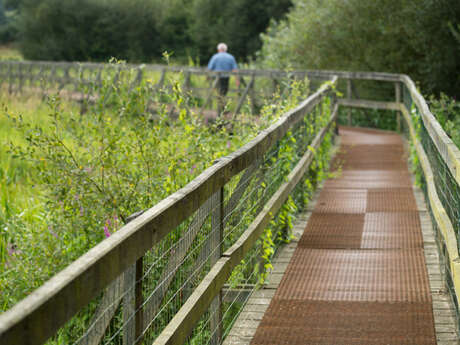 Le Marais de Gannedel