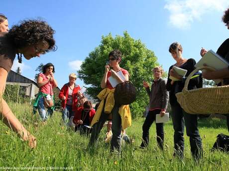 Atelier « cueillette et cuisine sauvage »