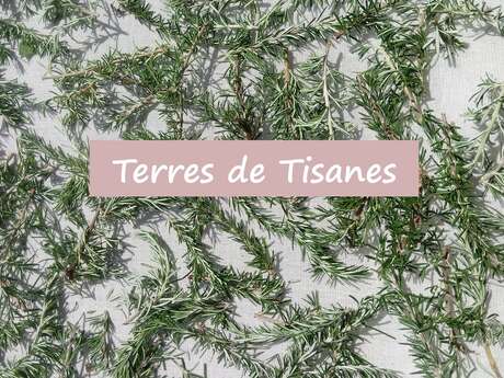 Terres de Tisanes