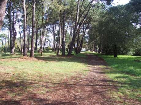 Site mégalithique de Kernours