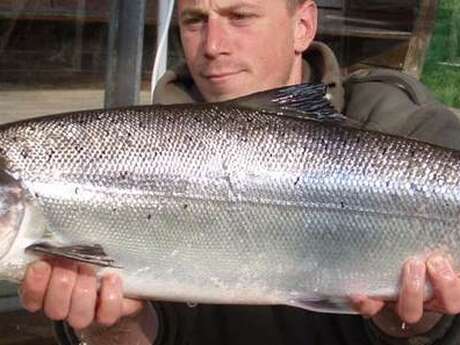 Pêche du Saumon sur le Scorff