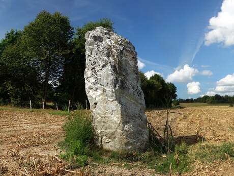 Menhir des Hautes Vallées