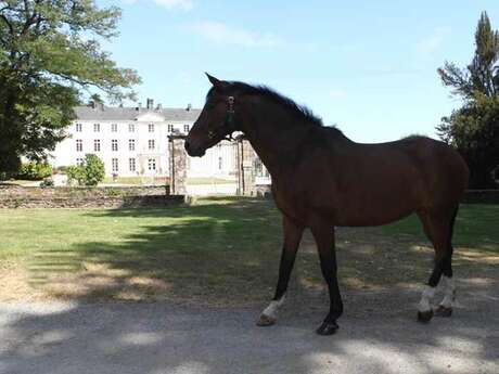 Centre Equestre Les Ecuries de la Chênaie