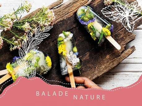 Balade nature - Plantes comestibles