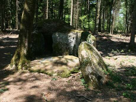 Dolmen à couloir de Coëby2