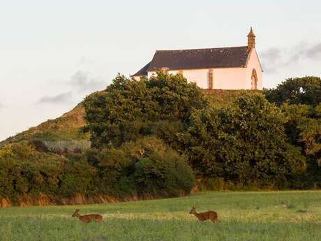 Tumulus Saint Michel à Carnac