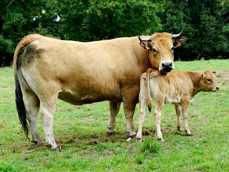 Ferme de la Perrière