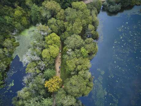 La petite Reine de Rhuys