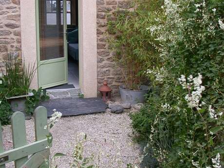 Madame Gaucher - La Pensée - Violette