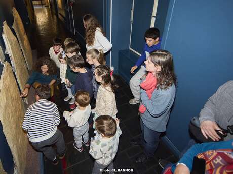 Visite Les 5 merveilles du musée