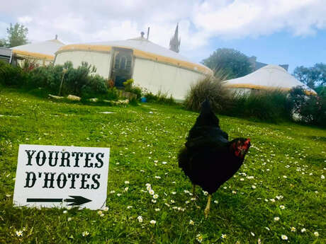 Les Yourtes d'Hôtes Les Yourtes d'Hôtes