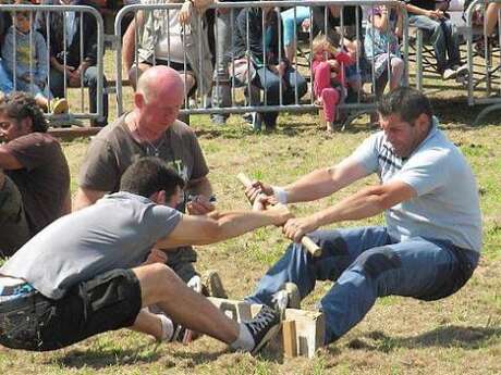 Fête - Jeux bretons et jambons grillés
