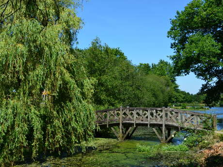Allaire