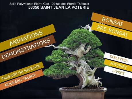 Exposition Régionale de bonsaï