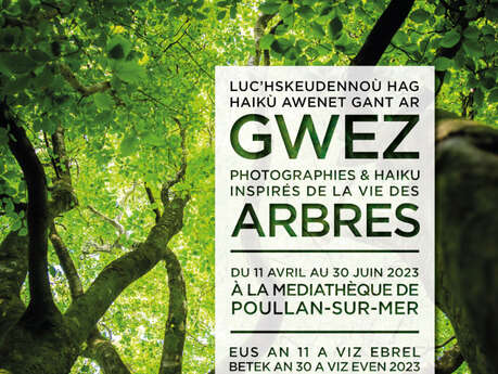 Exposition photographies "Gwez" de Krank Du