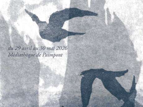 Exposition "Ce qui persiste" d'Estelle Aguelon - Médiathèque de Paimpont