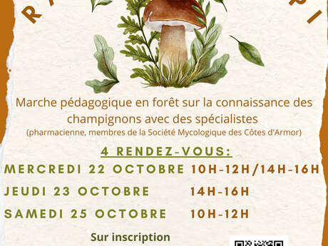 Les "Rando champi" Les "Rando champi"