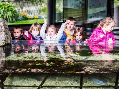 Aquarium Marin de Trégastel