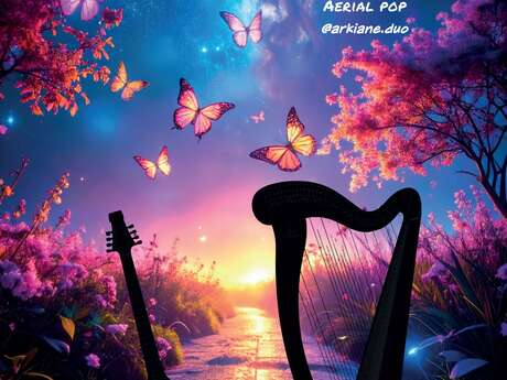 Arkiane, duo électro acoustique (aerial pop)