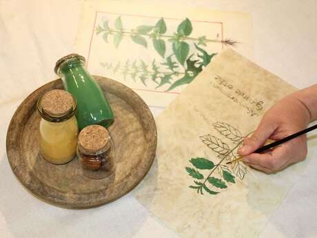 Atelier Découverte: Herbier