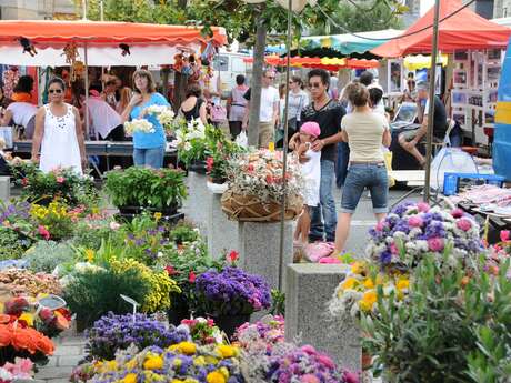 Marché de Pléneuf