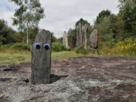 Sur la piste de "Petit caillou"