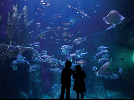 Aquashow, aquariums et spectacle d'oiseaux