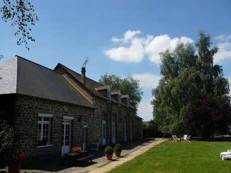 Le Lézard tranquille