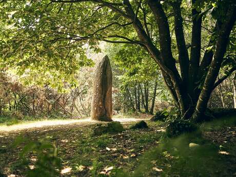 Menhir de Kerara