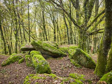 Dolmen de Roh Koh Koët