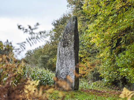 Goeh menhir