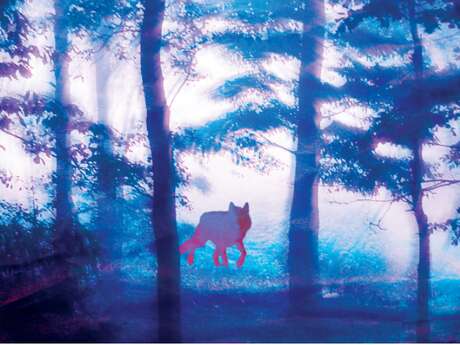 Théâtre participatif