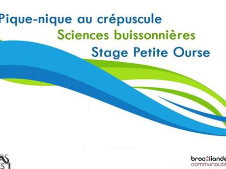 Le Plein de Sciences à la Station : Sciences buissonnières Le Plein de Sciences à la Station : Sciences buissonnières