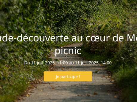 Promenade-découverte au cœur de Montfort + picnic