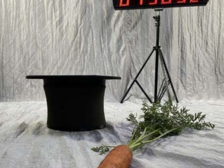 Wainting for wonder - Exposition et performances magiques