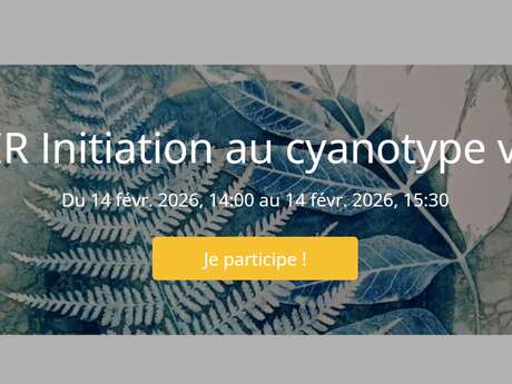 Atelier intiation au cyanotype végétal