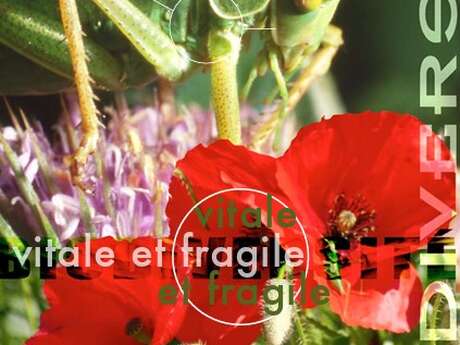 Exposition biodiversité