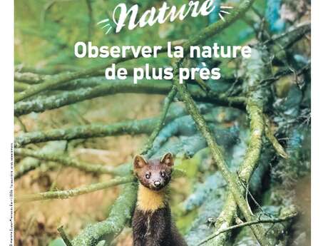 Les rives du Loc'h - Nature en musique