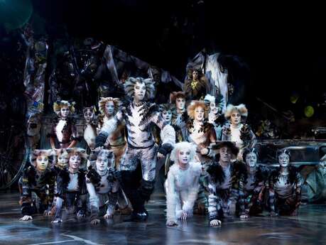 Cats - Comédie musicale