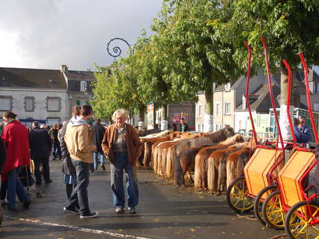 La Foire aux chevaux à l'ancienne